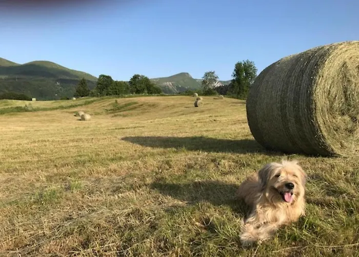 Bel T1 Avec Balcon En Centre Du Mont-dore - Fr-1-608-38 *